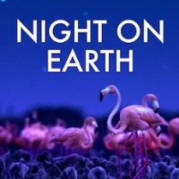 Night On Earth